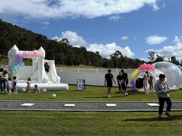 White castle with slide on grass