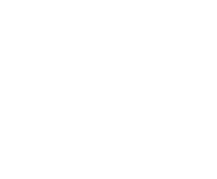 Bounce & Bloom